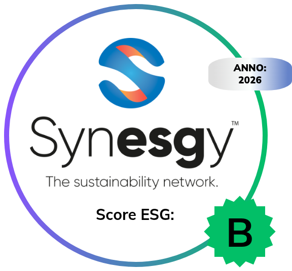 Synesgy